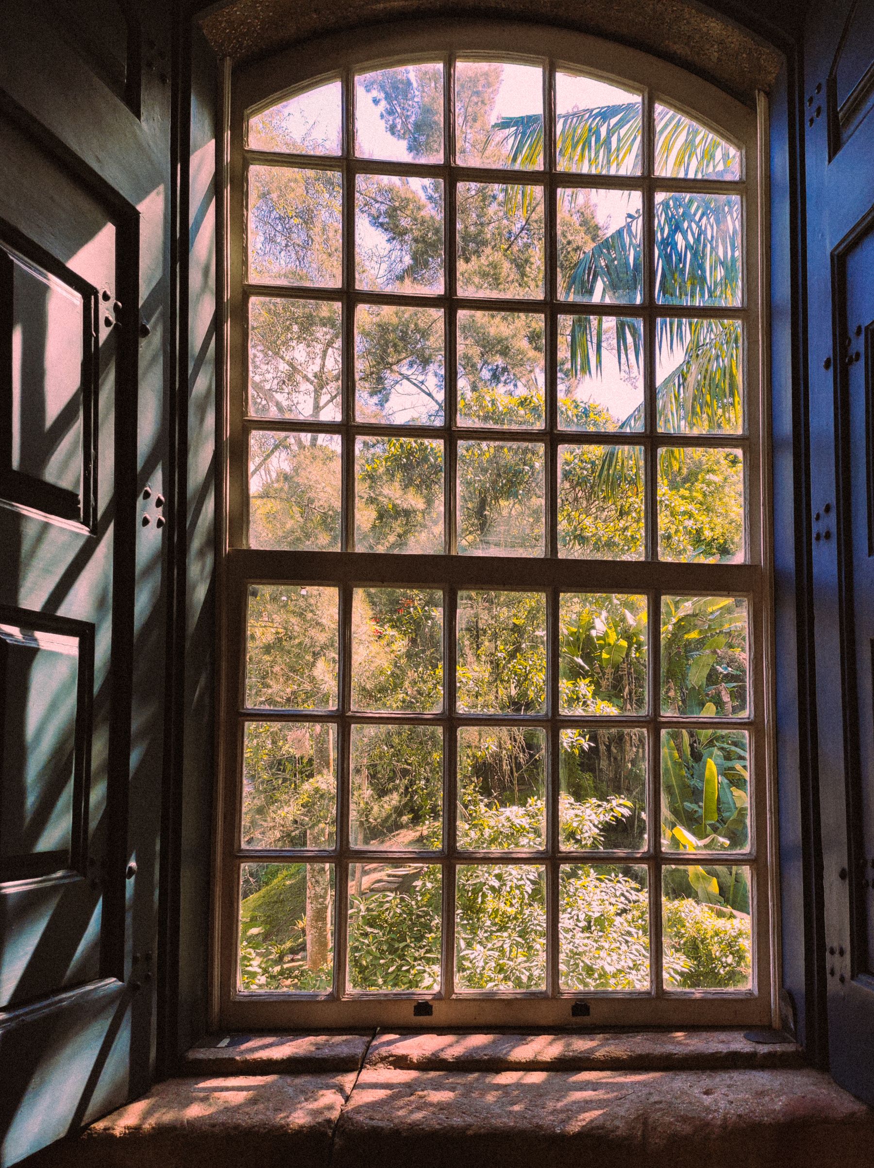 Open dark wooden interior shutters frame an arched-paned window and green foliage outside.