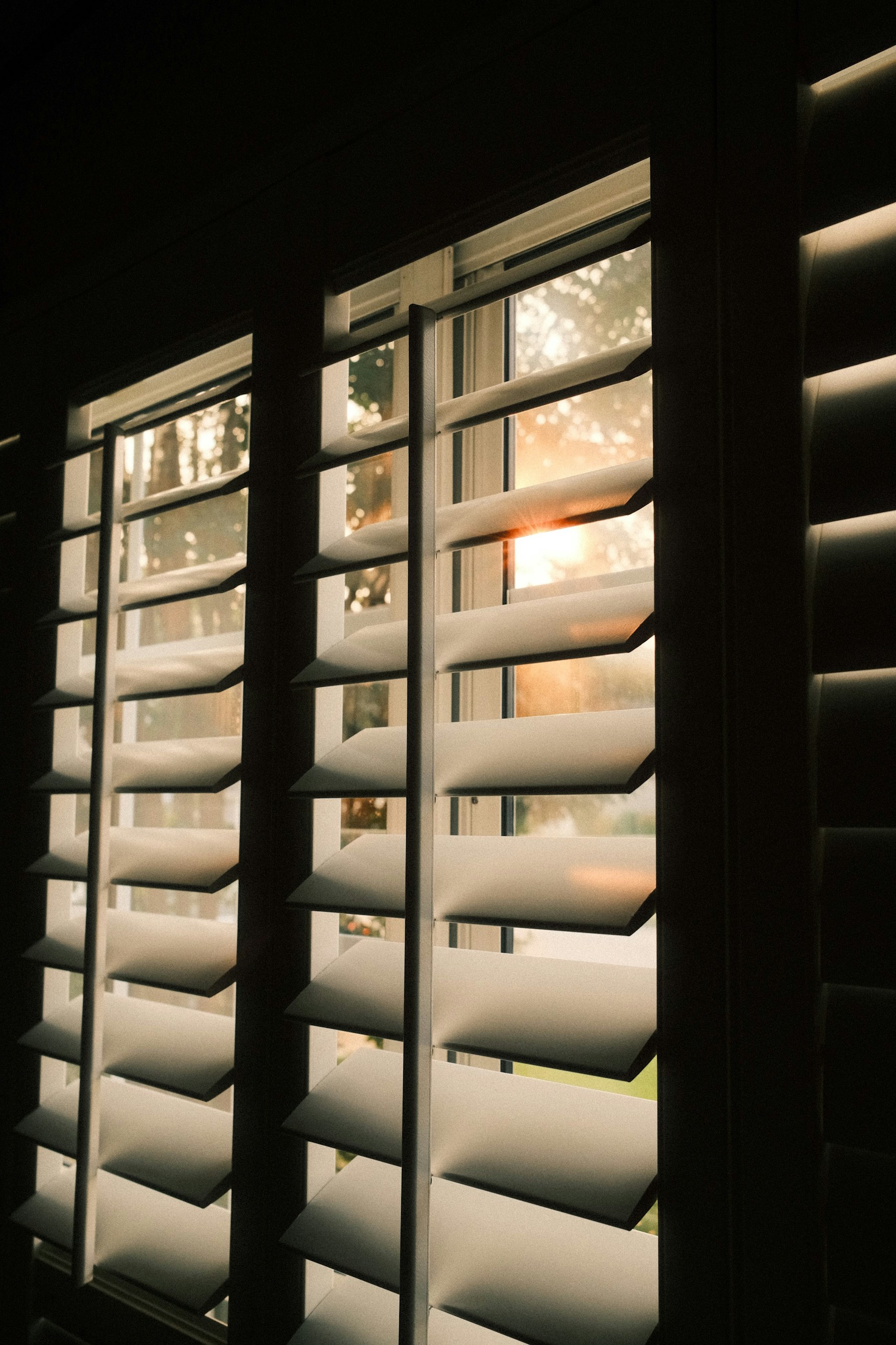 Sunlight glows through partially open white louvered shutters.